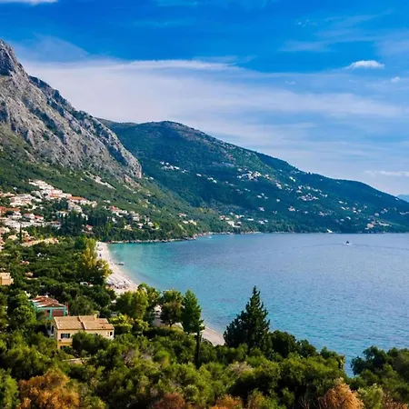 Zante * Barbati